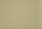 Brise vue toile Absinthe 8600 pas cher